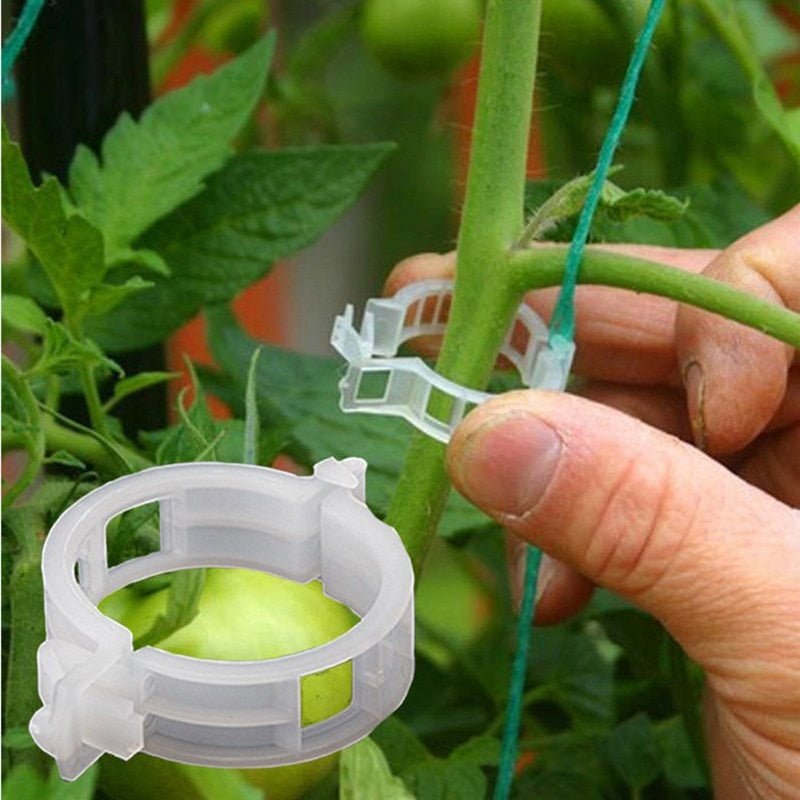 Clips de Suporte de Plástico para Prender Plantas - CASASKING